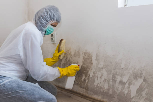 Best Mold Odor Removal Services  in Sacramento, CA