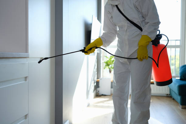 Best Comprehensive Air Testing for Mold Contaminants  in Sacramento, CA