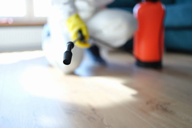 Best Post-Construction Mold Inspection  in Sacramento, CA