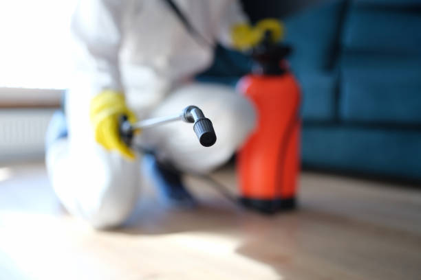 Best Dehumidification Services  in Sacramento, CA