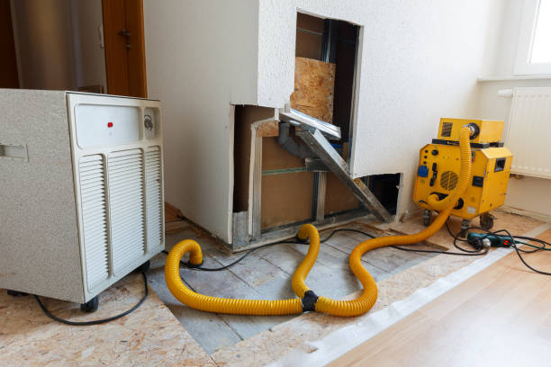 Mold Removal for HVAC Installations in Sacramento, CA