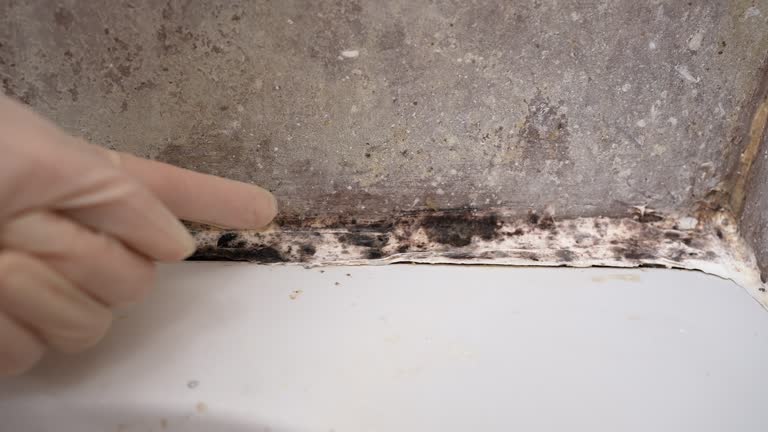 Mold Remediation for Rental Properties in Sacramento, CA